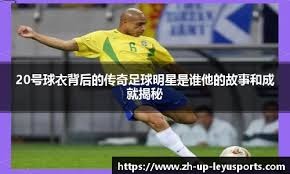 了选材与