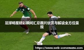 新信