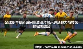 与稳定输
